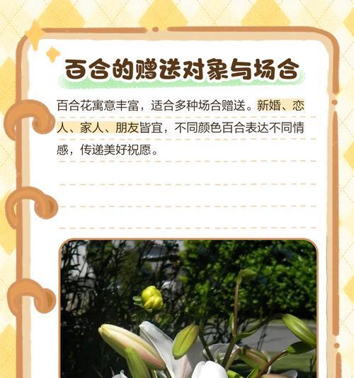 百合花作为花语是什么意思？百合花在不同场合的含义是什么？