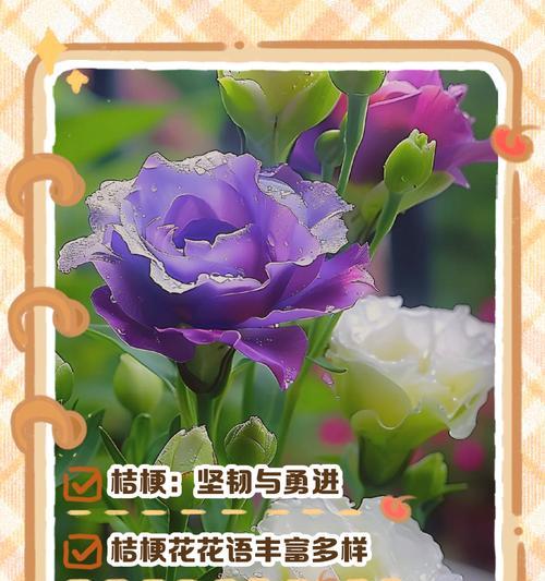 四种花的花语分别是什么？如何用四种花表达情感？