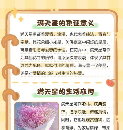 六角星花花语有哪些？六角星花的花语代表什么？