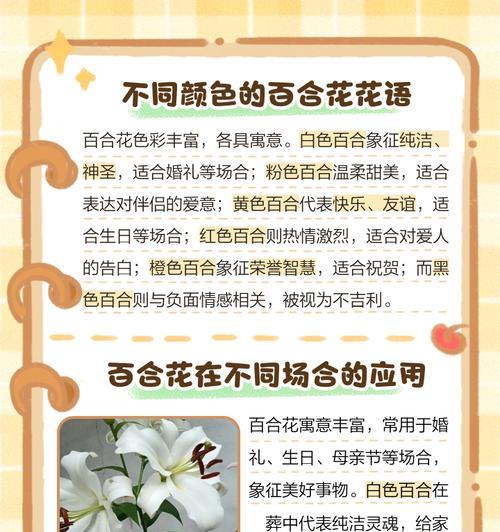 保定百合花语是什么？保定百合的花语有何特别之处？