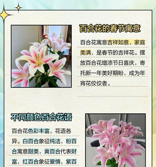 冬日百合花语是什么？冬日百合的花语有何含义？