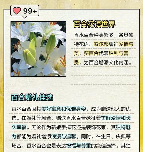百合花语西方是什么？西方百合的花语有何特别之处？