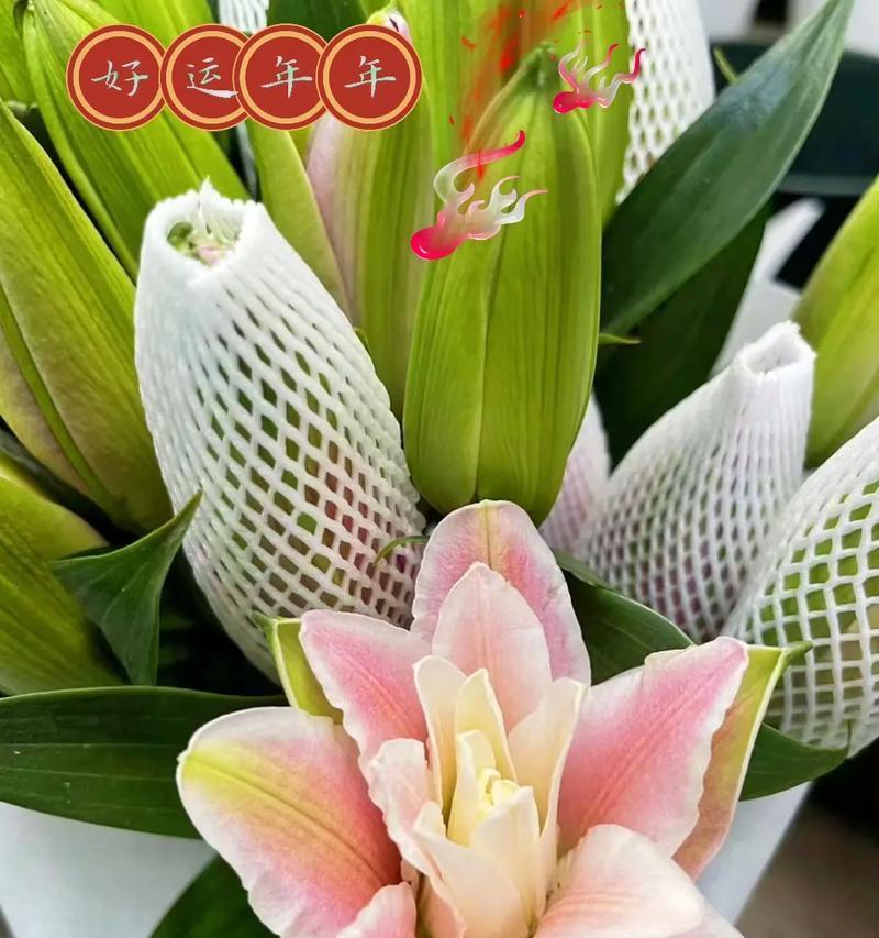 百合花语西方是什么？西方百合的花语有何特别之处？