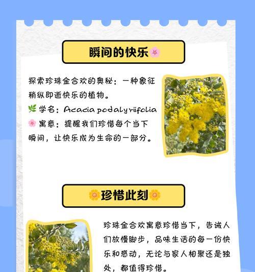 金合欢树花语是什么？金合欢树的花语有何含义？