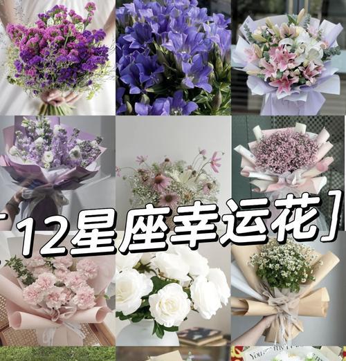 三色景的花语是什么？三色景的花语有何含义？
