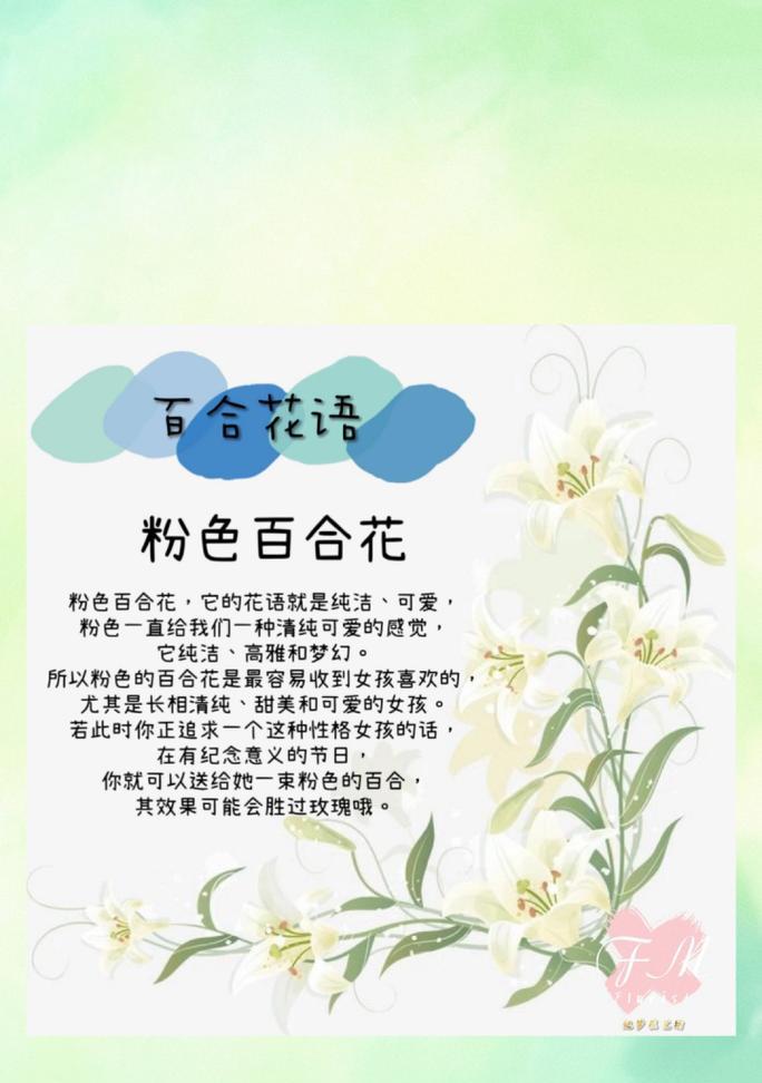 夜晚百合花语是什么？夜晚百合的花语有何特别之处？