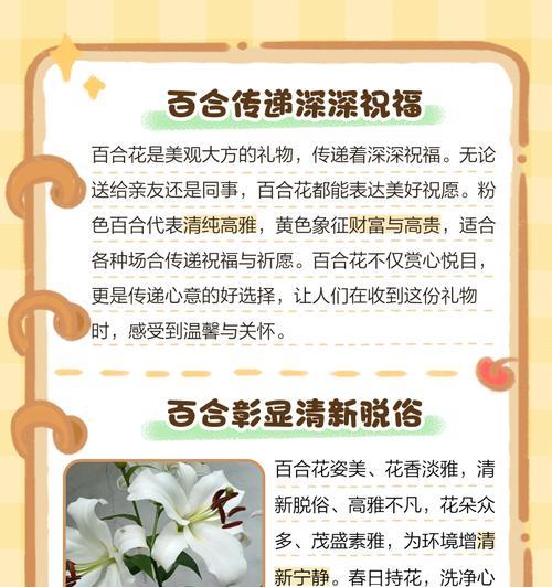 夜晚百合花语是什么？夜晚百合的花语有何特别之处？