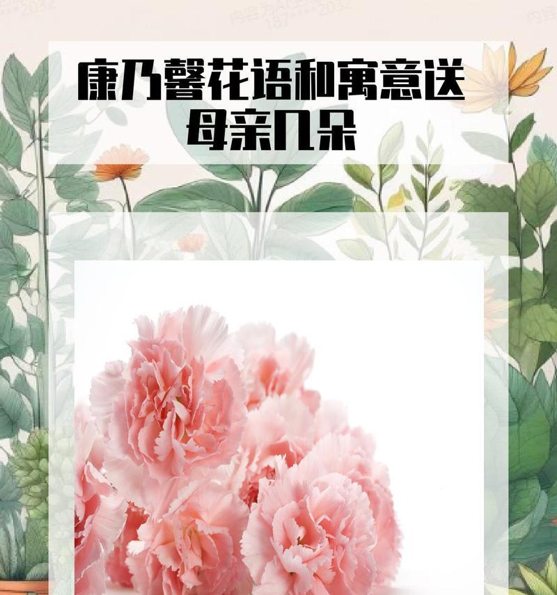 康乃馨的花语是什么？康乃馨代表了哪些情感？