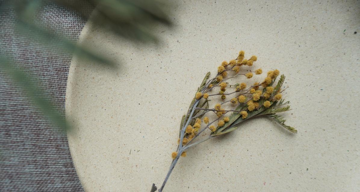 干花的花语有哪些？干花象征着什么？