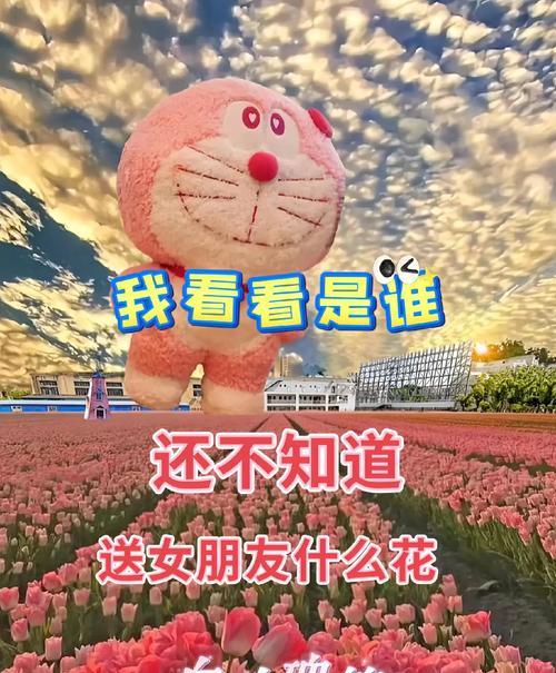 两朵白玫瑰的花语有何特别含义？