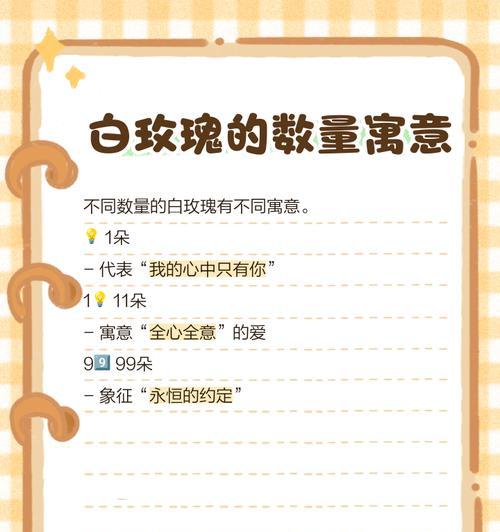 两朵白玫瑰的花语有何特别含义？