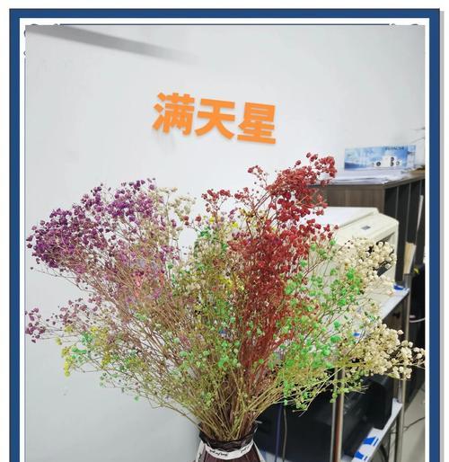满天星花语代表什么？