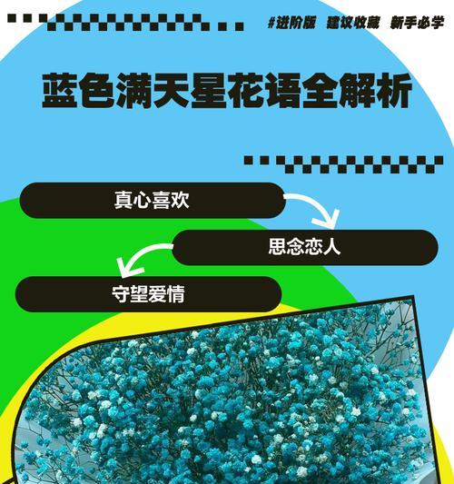 满天星花语代表什么？