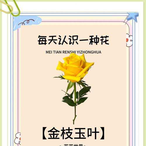 金枝玉叶花语代表什么？