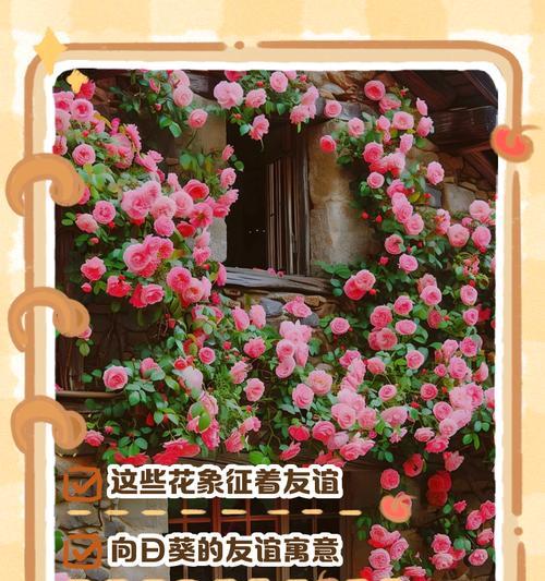 郁金香代表友情的花语是什么？