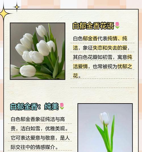 郁金香代表友情的花语是什么？