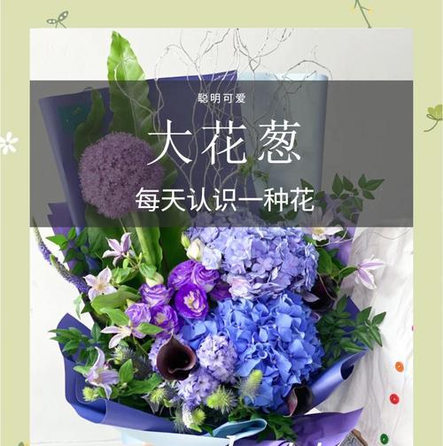 大花葱在日本的花语代表什么？