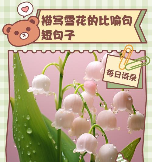 雪花的花语有哪些含义？