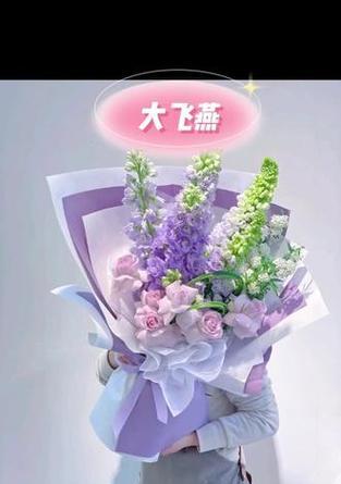 大飞燕草的花语是什么？