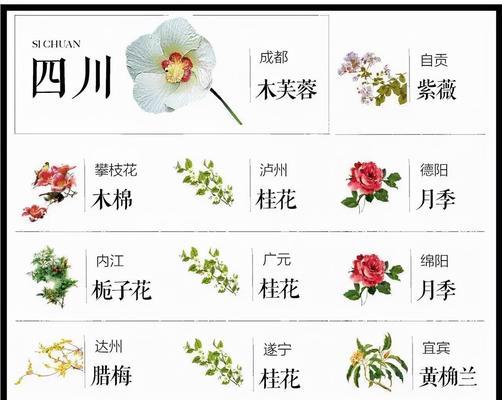 芙蓉花的花语代表什么？芙蓉花的象征意义是什么？