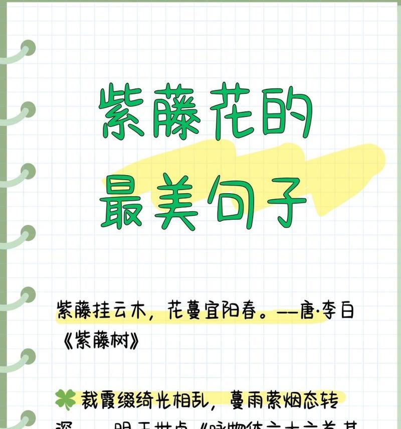 白色紫藤花的花语有哪些？