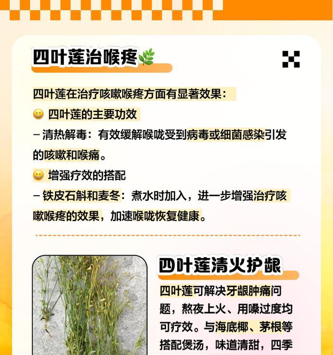 四叶草花语传说背后的故事是什么？