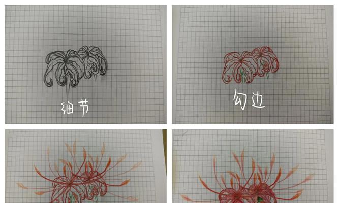 曼陀罗花语有何神秘含义？如何解读曼陀罗花语？