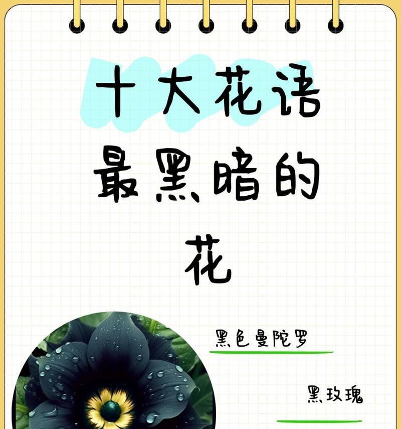 曼陀罗花语有何神秘含义？如何解读曼陀罗花语？