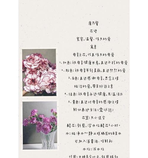 康乃馨在欧洲的花语有哪些含义？