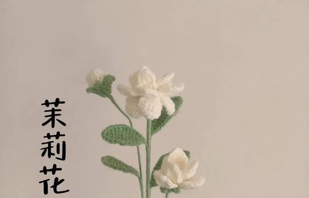 家养植物的花语有哪些？它们象征着什么？