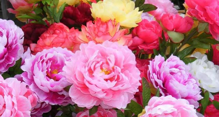 粉色晚香玉的花语是什么？它象征着什么？