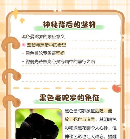 曼陀罗花语有何神秘之处？如何解读？