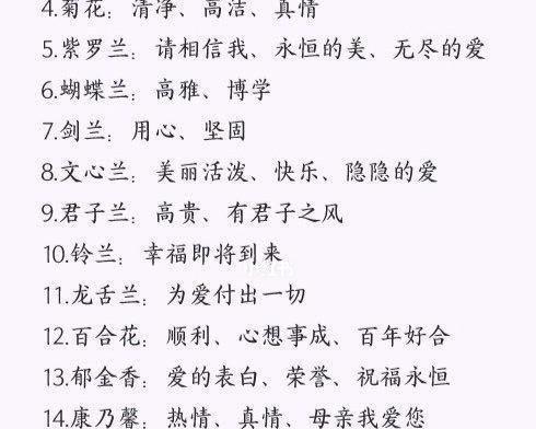支干番杏的花语有何特别之处？代表什么？