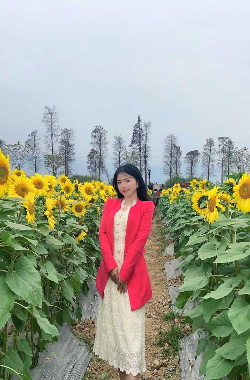 哪种花的花语是微笑？