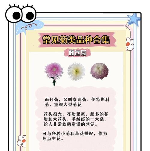 菊花的含义与花语有哪些？