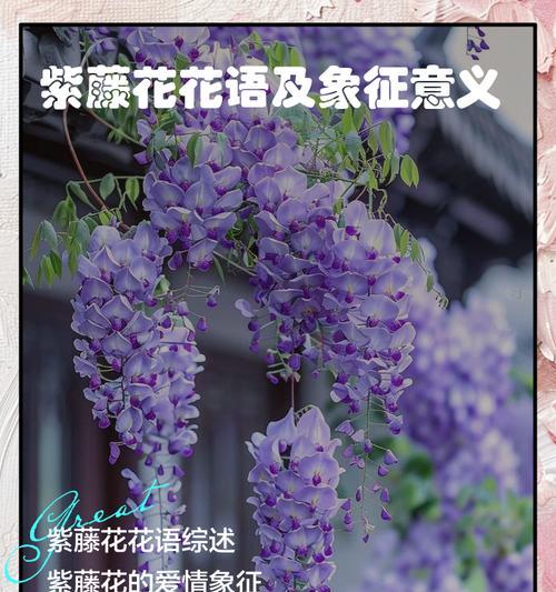 1100朵花代表什么花语？如何用1100朵花表达情感？