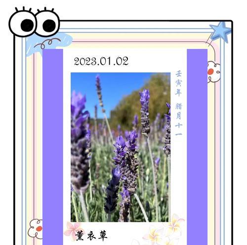 薰衣草当然的花语是什么？如何用薰衣草表达爱意？