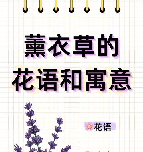 薰衣草当然的花语是什么？如何用薰衣草表达爱意？