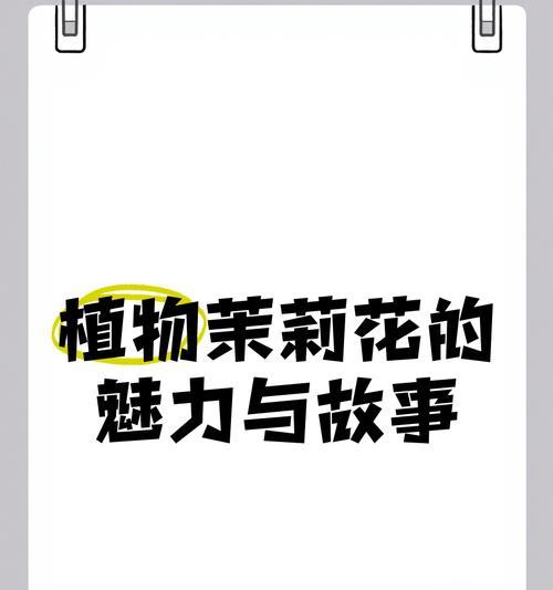 茉莉花语故事有哪些？如何用茉莉花讲述故事？