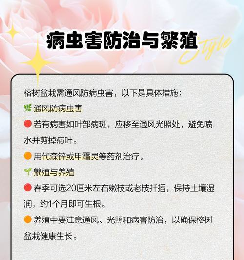 榕树花语代表什么意义？
