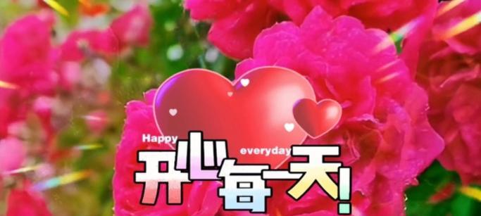 财富的花语有哪些？