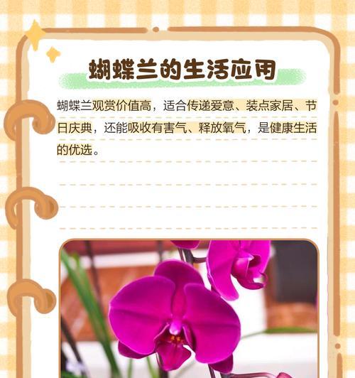 蝴蝶在花语中代表什么？