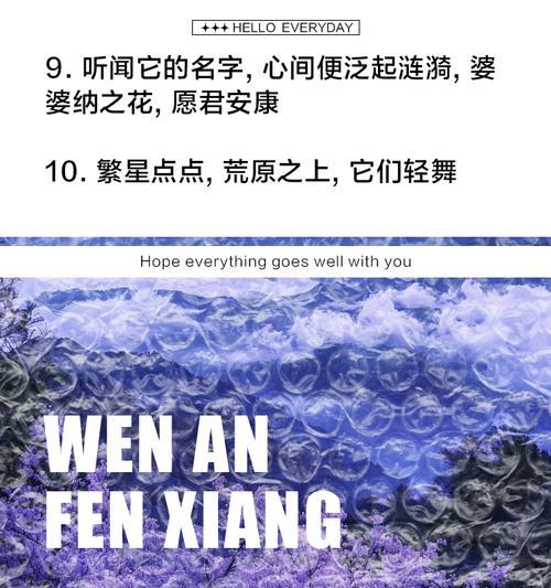 白色婆婆纳的花语含义是什么？