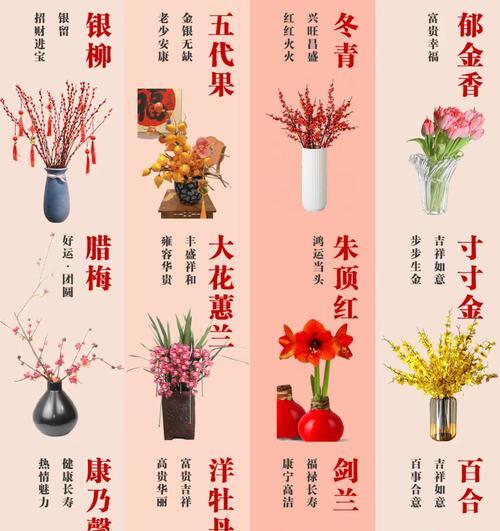 吉祥花语包含哪些？
