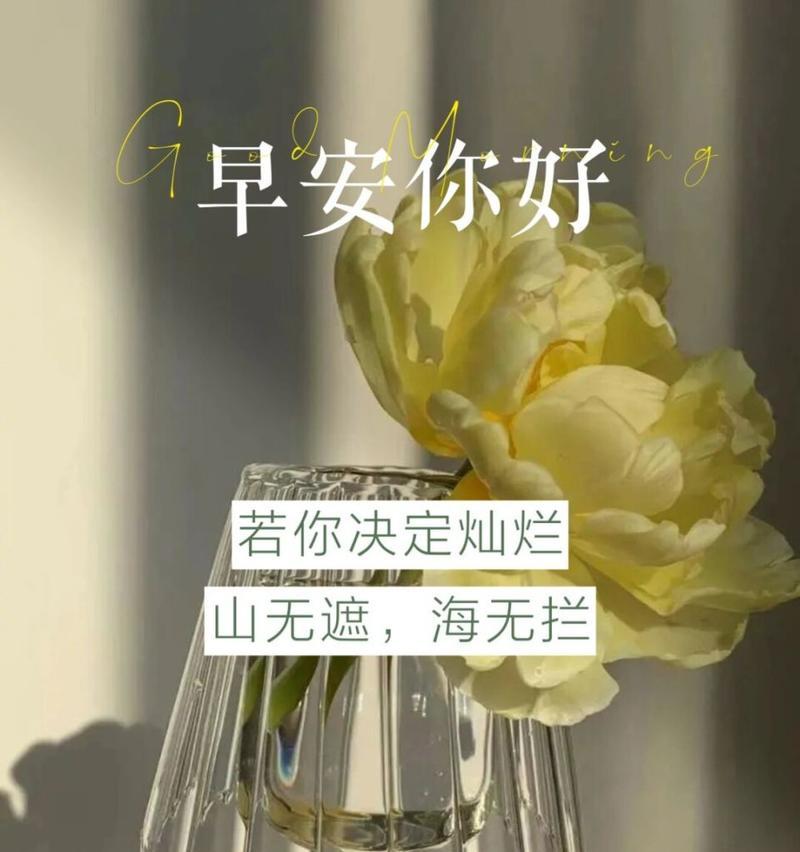 带来希望的花语是什么？如何用花语传递正能量？