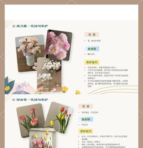 黑色蔓陀罗的花语有何特殊之处？它象征着什么？