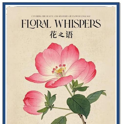 黑色蔓陀罗的花语有何特殊之处？它象征着什么？