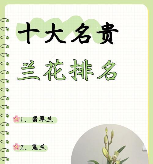 野生兰花的花语是什么？它在自然界中象征着什么？