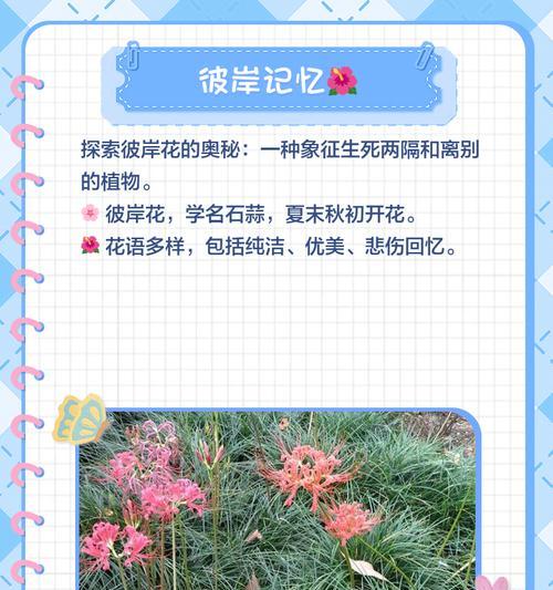 花语存在的意义是什么？它如何影响我们的生活？