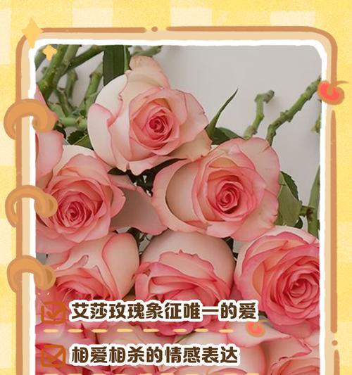 花语背后的秘密是什么？